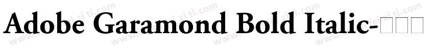 Adobe Garamond Bold Italic字体转换